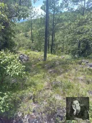 TERRENO EN VENTA – HUEHUETENANGO (PIEDRAS NEGRAS) — Terreno en Venta en Huehuetenango, Huehuetenango — miniatura 5 de 5
