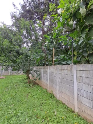 Terreno en venta San Lucas — Terreno en Venta en Santiago Sacatepéquez, Sacatepéquez — miniatura 9 de 13