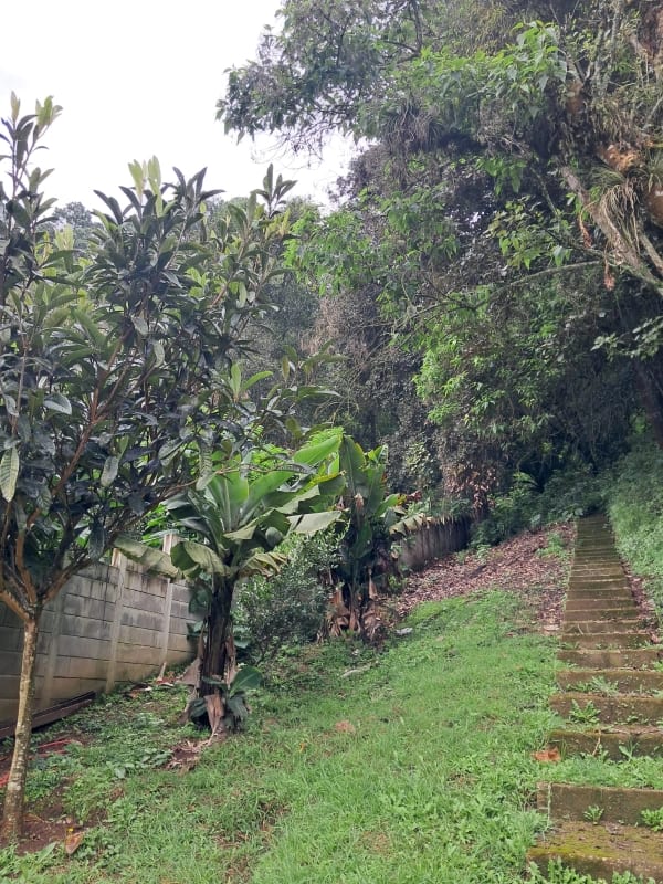 Terreno en venta San Lucas — Terreno en Venta en Santiago Sacatepéquez, Sacatepéquez — foto 6 de 13