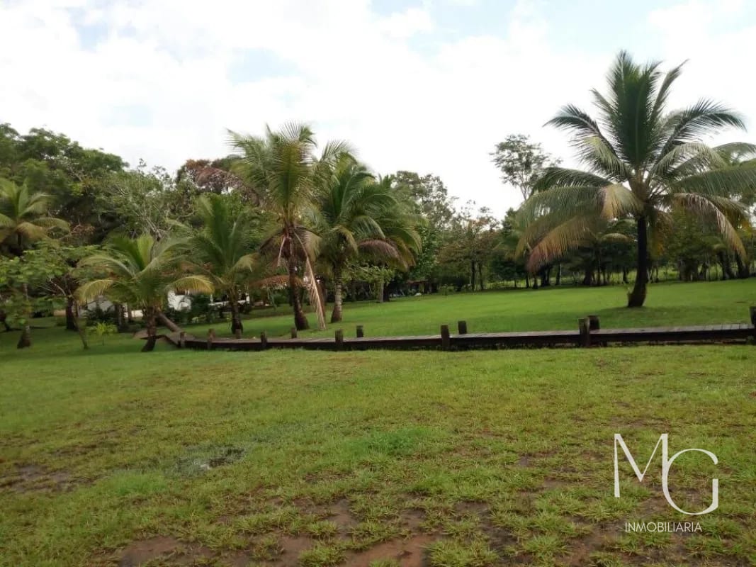 terreno en venta a orilla de Río dulce — Terreno en Venta en Río dulce, Izabal — foto 3 de 3