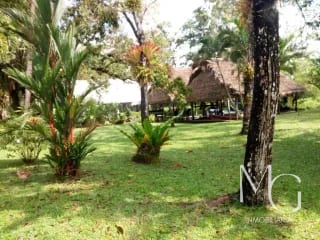 terreno en venta a orilla de Río dulce — Terreno en Venta en Río dulce, Izabal — miniatura 2 de 3