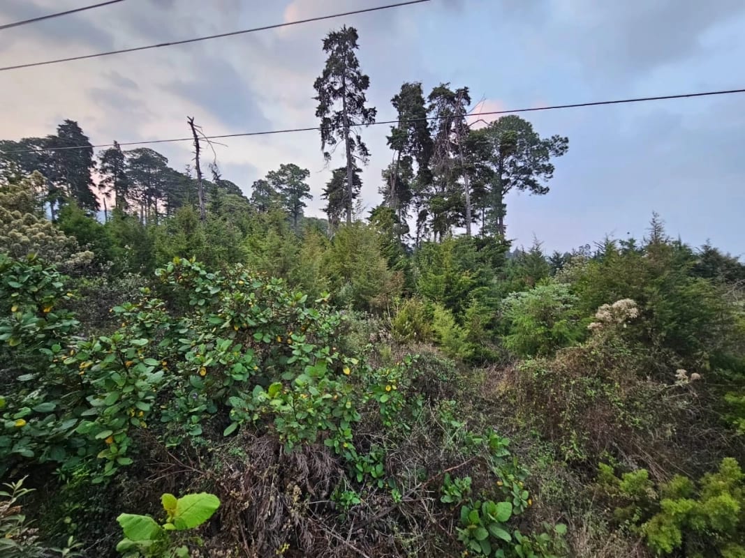 VENDO 11 MANZANAS DE TERRENO PARA DESARROLLO - UBICADO EN QUINTA LOS ENCINOS ZONA 7 MIXCO — Terreno en Venta en Zona 7 Mixco, Guatemala, Ciudad — foto 7 de 8