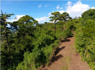 Terreno Premium de 15,960m² en Zona 16: Ideal para Desarrollo — Terreno en Venta en El Pulté, Zona 16, Guatemala, Ciudad — miniatura 1 de 15