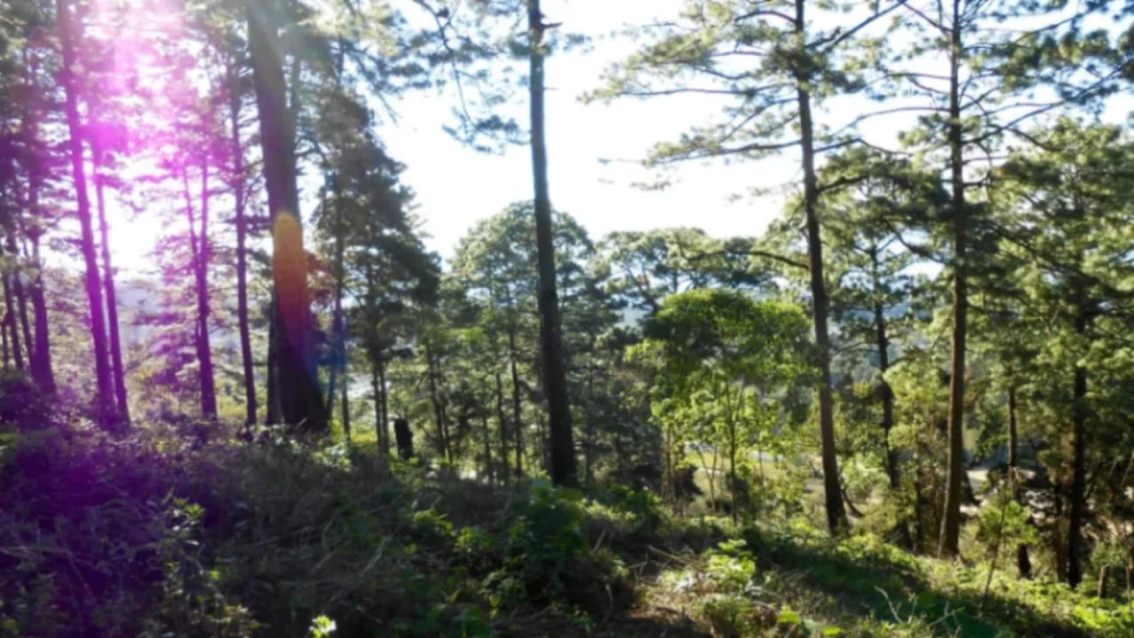 Terreno Premium de 15,960m² en Zona 16: Ideal para Desarrollo — Terreno en Venta en El Pulté, Zona 16, Guatemala, Ciudad — foto 12 de 15