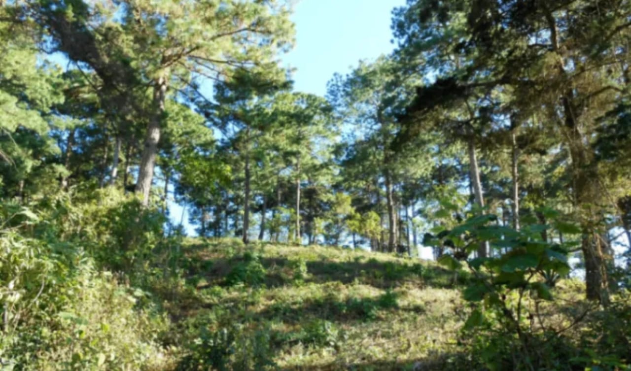 Terreno Premium de 15,960m² en Zona 16: Ideal para Desarrollo — Terreno en Venta en El Pulté, Zona 16, Guatemala, Ciudad — foto 7 de 15