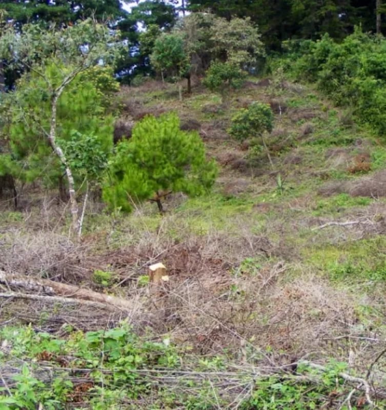 Terreno Premium de 15,960m² en Zona 16: Ideal para Desarrollo — Terreno en Venta en El Pulté, Zona 16, Guatemala, Ciudad — foto 3 de 15