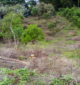 Terreno Premium de 15,960m² en Zona 16: Ideal para Desarrollo — Terreno en Venta en El Pulté, Zona 16, Guatemala, Ciudad — miniatura 3 de 15
