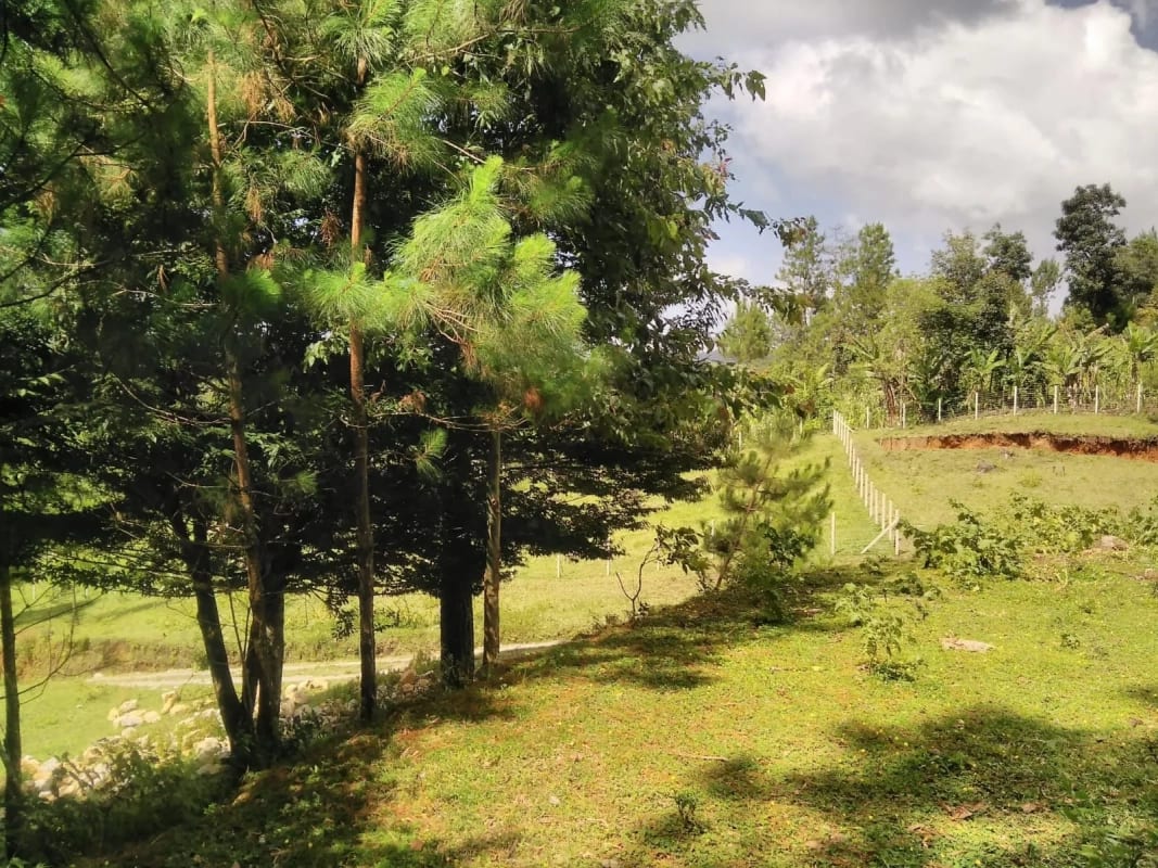 Santuario Natural de 16 Hectáreas con Río Propio - San Juan Chamelco, Alta Verapaz — Terreno en Venta en San Juan Chamelco, Alta Verapaz — foto 4 de 8