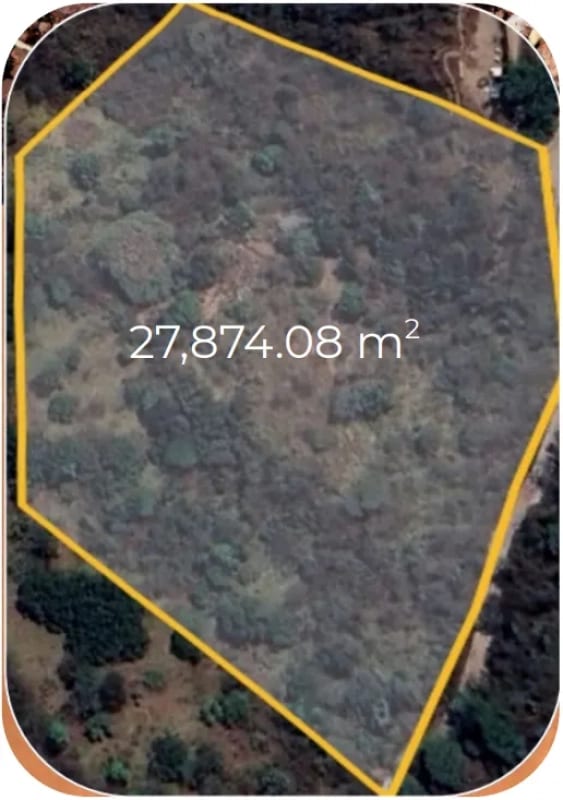 Terreno de 3.9 Manzanas con Alto Potencial Agrícola y Ganadero - San Pedro Ayampuc. — Terreno en Venta en San Pedro Ayampuc, Guatemala, Ciudad — foto 5 de 5