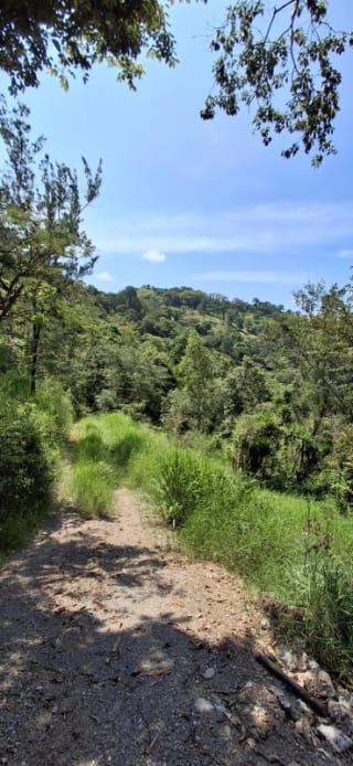 Terreno de 3.9 Manzanas con Alto Potencial Agrícola y Ganadero - San Pedro Ayampuc. — Terreno en Venta en San Pedro Ayampuc, Guatemala, Ciudad — miniatura 2 de 5