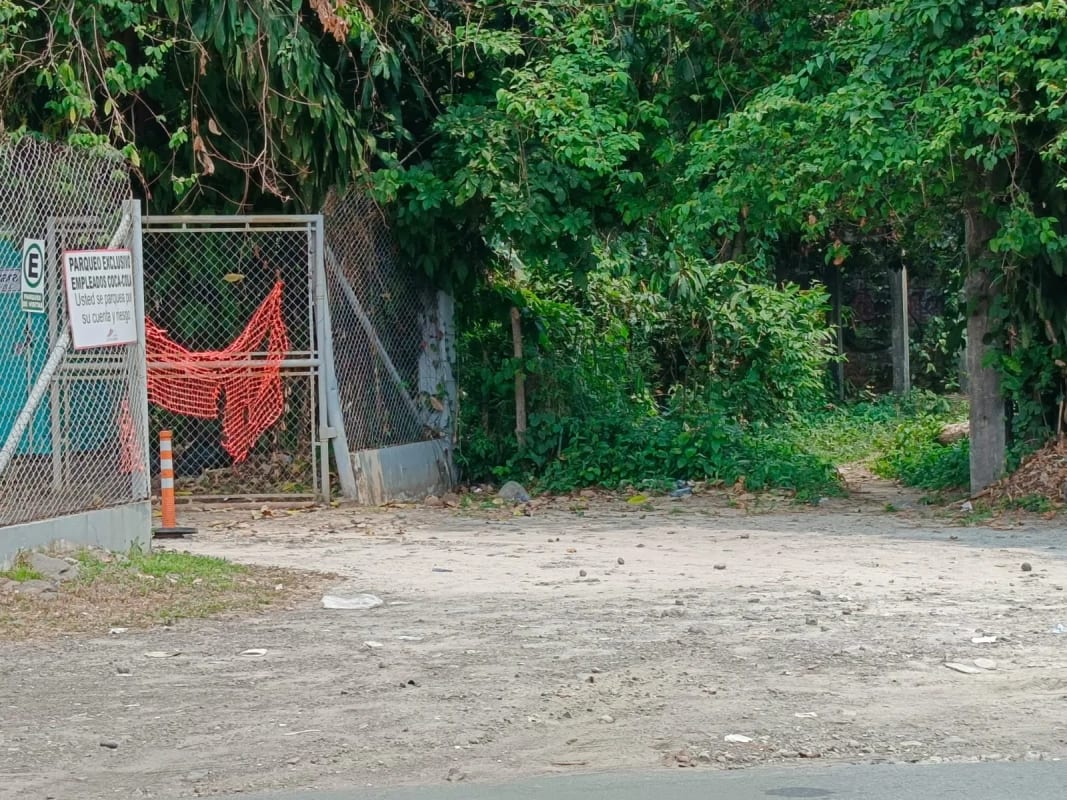Terreno Premium de $18,281$ m² frente a Coca-Cola FEMSA - Km 178.5 Ruta al Pacífico. — Terreno en Venta en Retalhuleu, Retalhuleu — foto 4 de 9