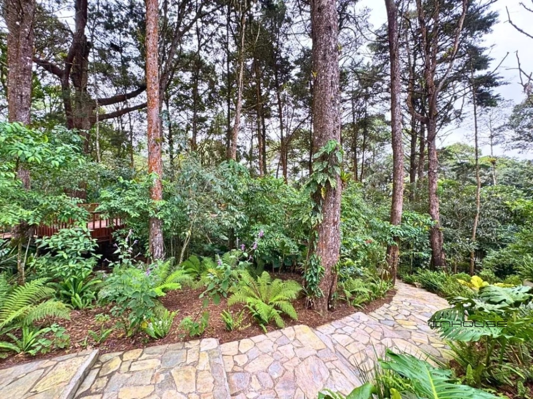 TERRENO EN VENTA SANTA ROSALIA ZONA 16 LEGAD0 DEL BOSQUE — Terreno en Venta en Zona 16, Guatemala, Ciudad — foto 2 de 8