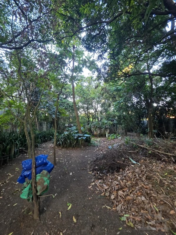 🏞️ Terreno en venta – Los Álamos, San Miguel Petapa — Terreno en Venta en EcoCentro Los Alamos, San Miguel Petapa, Guatemala, Ciudad — foto 5 de 7