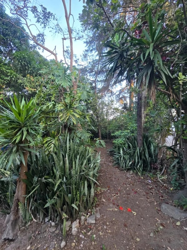 🏞️ Terreno en venta – Los Álamos, San Miguel Petapa — Terreno en Venta en EcoCentro Los Alamos, San Miguel Petapa, Guatemala, Ciudad — foto 3 de 7