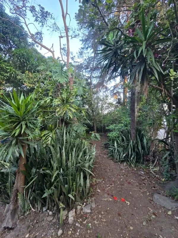 🏞️ Terreno en venta – Los Álamos, San Miguel Petapa — Terreno en Venta en EcoCentro Los Alamos, San Miguel Petapa, Guatemala, Ciudad — foto 3 de 7