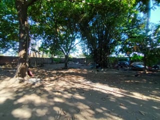 VENDO Terreno Santa Lucía Cotzumalguapa Cantón El Palmar 2 — Terreno en Venta en Santa Lucía Cotzumalguapa, Escuintla — miniatura 4 de 6