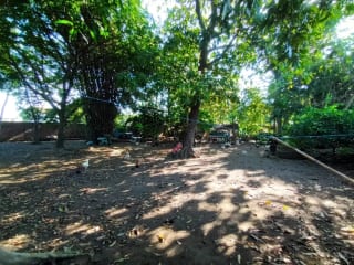 VENDO Terreno Santa Lucía Cotzumalguapa Cantón El Palmar 2 — Terreno en Venta en Santa Lucía Cotzumalguapa, Escuintla — miniatura 3 de 6