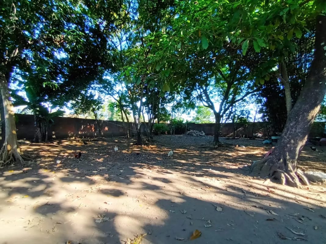 VENDO Terreno Santa Lucía Cotzumalguapa Cantón El Palmar 2 — Terreno en Venta en Santa Lucía Cotzumalguapa, Escuintla — foto 2 de 6