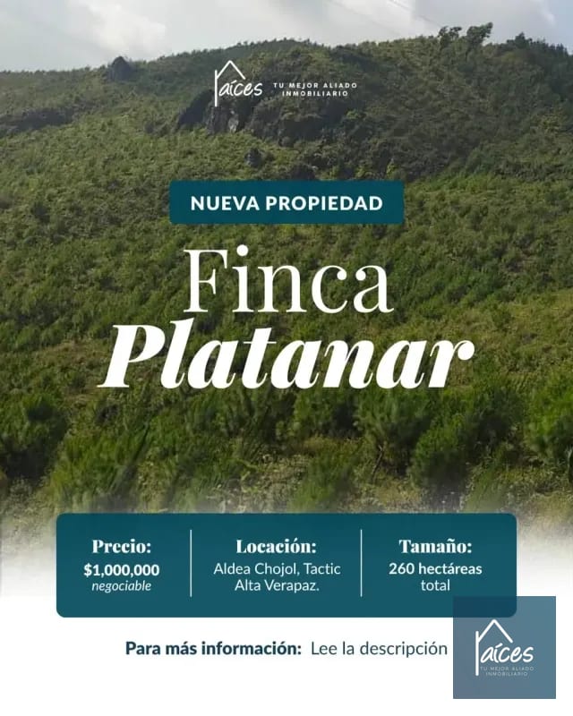 FINCA PLATANAR. Potencial hídrico, madera, cultivo cardamomo y café. — Finca en Venta en Tactic, Alta Verapaz — foto 1 de 7