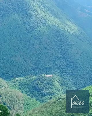 FINCA PLATANAR. Potencial hídrico, madera, cultivo cardamomo y café. — Finca en Venta en Tactic, Alta Verapaz — miniatura 7 de 7