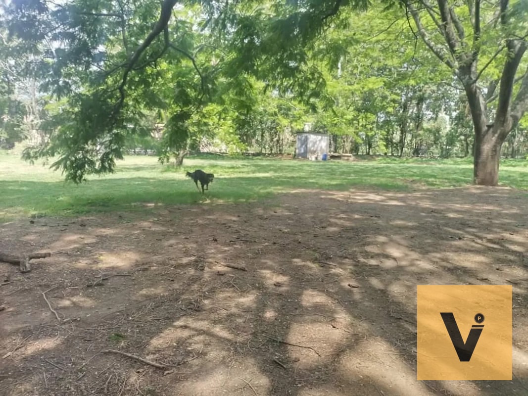 Terreno de 45mil v2 ideal para desarrollo. Punto inmejorable. — Terreno en Venta en Amatitlán, Amatitlán, Guatemala, Ciudad — foto 7 de 7