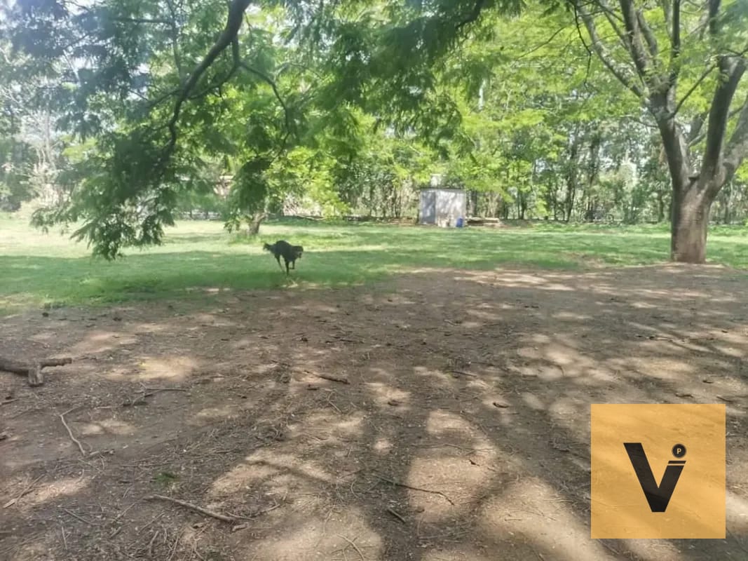 Terreno de 45mil v2 ideal para desarrollo. Punto inmejorable. — Terreno en Venta en Amatitlán, Amatitlán, Guatemala, Ciudad — foto 7 de 7