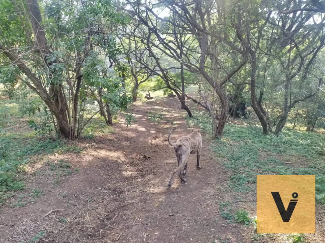 Terreno de 45mil v2 ideal para desarrollo. Punto inmejorable. — Terreno en Venta en Amatitlán, Amatitlán, Guatemala, Ciudad — foto 6 de 7