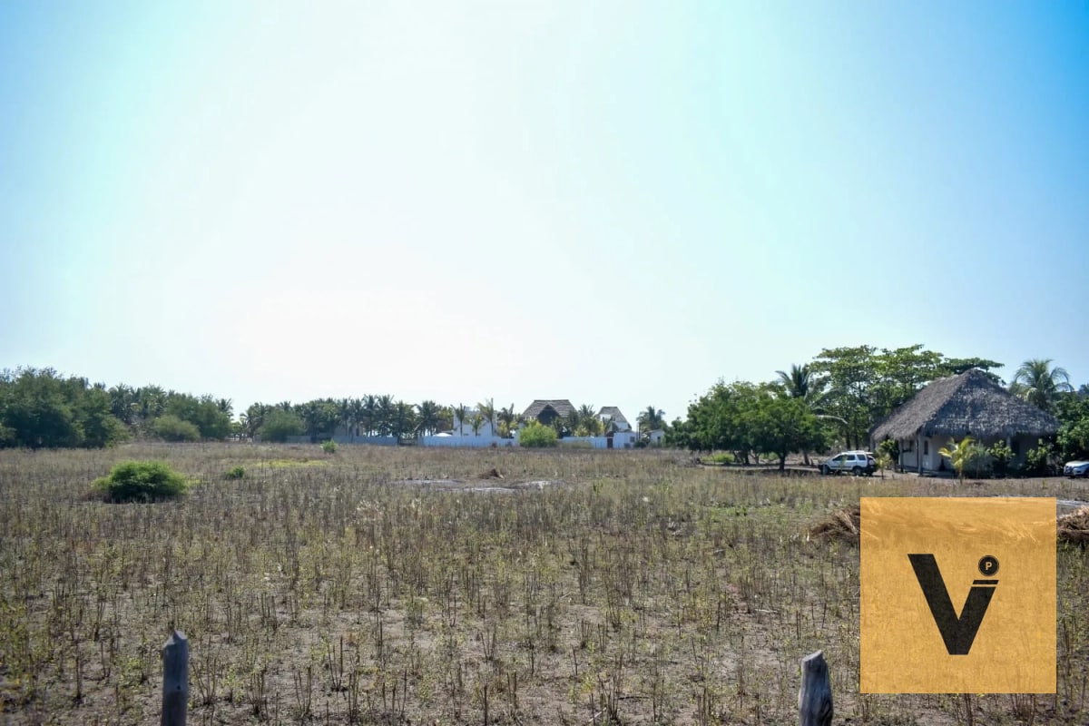 Terreno carretera a hawaii, aldea curvina — Terreno en Venta en Chiquimulilla, Santa Rosa — foto 5 de 11