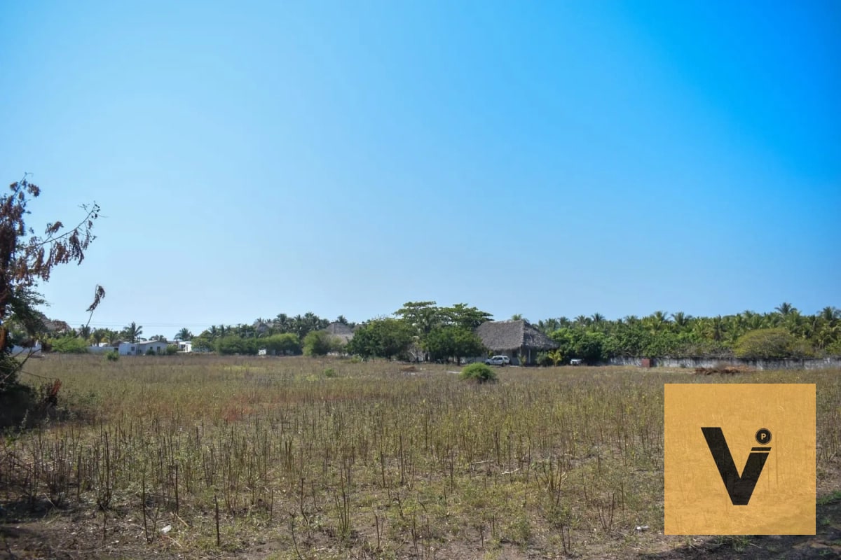 Terreno carretera a hawaii, aldea curvina — Terreno en Venta en Chiquimulilla, Santa Rosa — foto 3 de 11