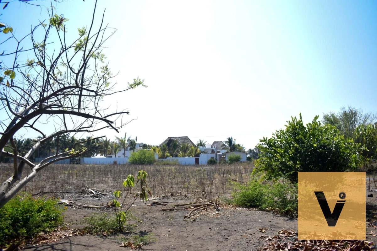 Terreno carretera a hawaii, aldea curvina — Terreno en Venta en Chiquimulilla, Santa Rosa — foto 2 de 11
