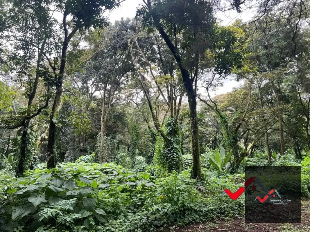 Terreno en venta Carretera a el Salvador  km 22.5  Premier Campestre — Terreno en Venta en Carretera a El Salvador, Guatemala, Ciudad — foto 9 de 10