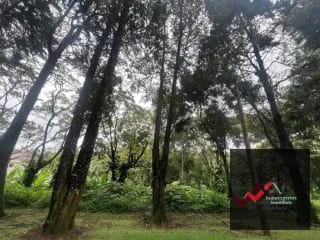 Terreno en venta Carretera a el Salvador  km 22.5  Premier Campestre — Terreno en Venta en Carretera a El Salvador, Guatemala, Ciudad — miniatura 7 de 10
