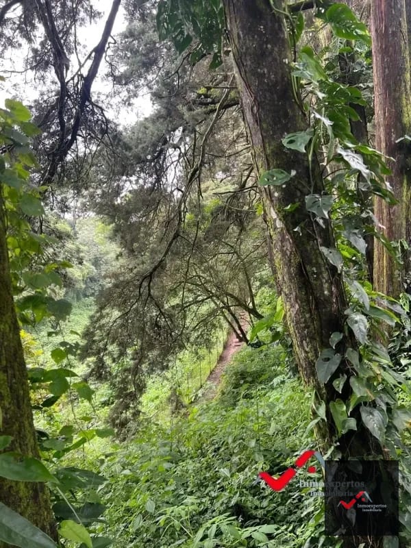 Terreno en venta Carretera a el Salvador  km 22.5  Premier Campestre — Terreno en Venta en Carretera a El Salvador, Guatemala, Ciudad — foto 6 de 10