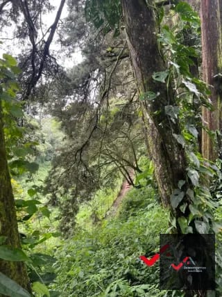 Terreno en venta Carretera a el Salvador  km 22.5  Premier Campestre — Terreno en Venta en Carretera a El Salvador, Guatemala, Ciudad — miniatura 6 de 10