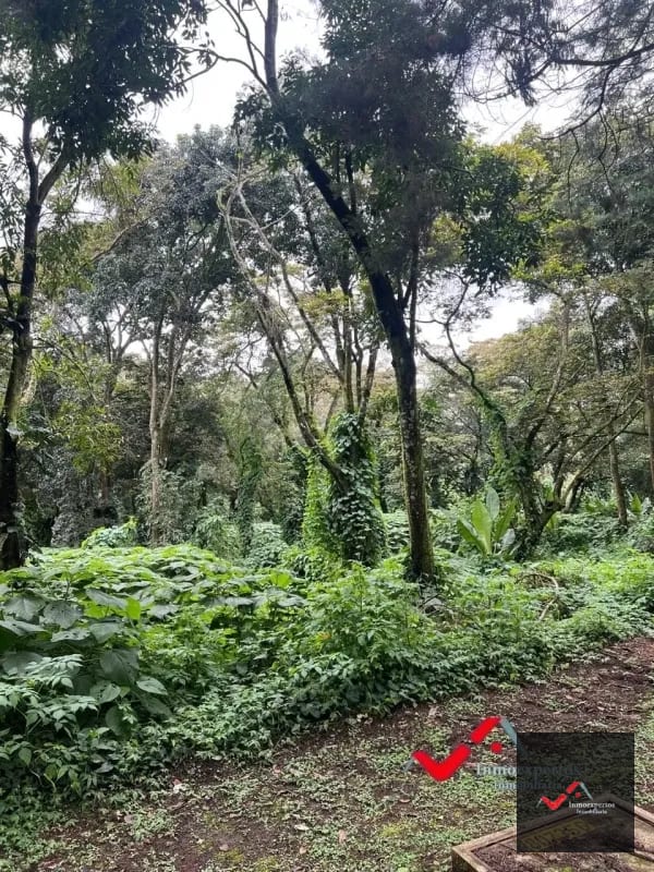 Terreno en venta Carretera a el Salvador  km 22.5  Premier Campestre — Terreno en Venta en Carretera a El Salvador, Guatemala, Ciudad — foto 4 de 10