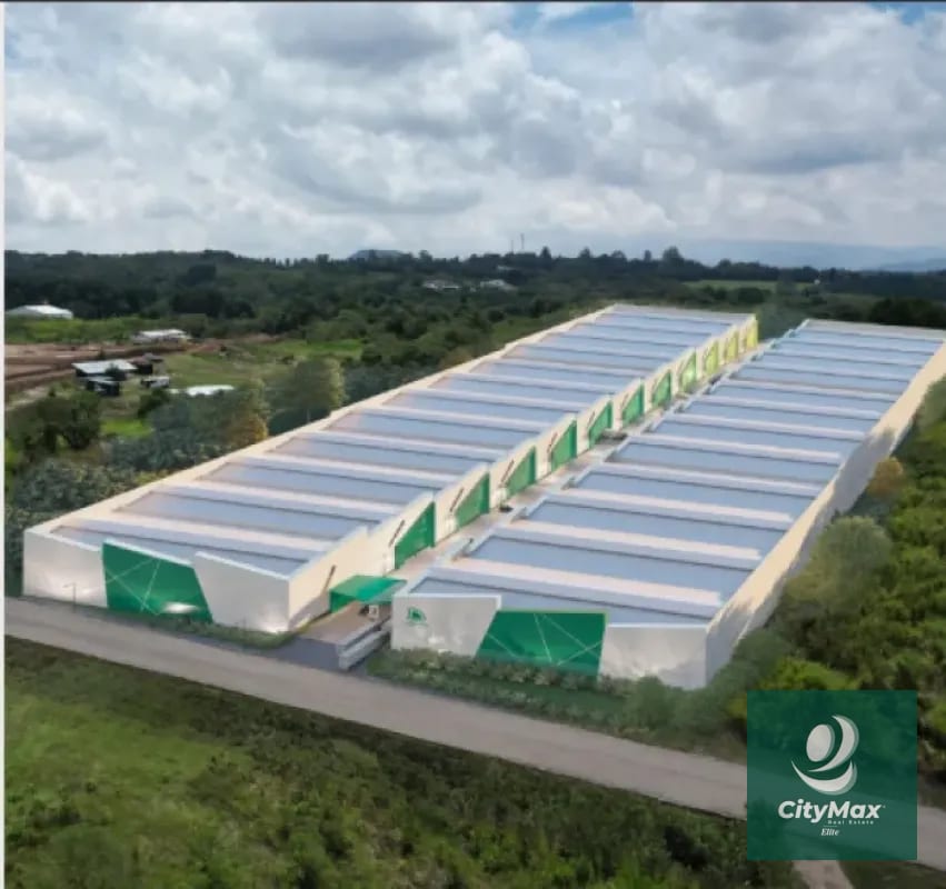 Bodega en Venta/renta - Laguna Logistic Park - Carretera a el Salvador — Bodega / Ofibodega en Venta en Carretera a El Salvador, Guatemala, Ciudad — foto 2 de 4