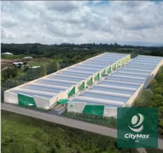 Bodega en Venta/renta - Laguna Logistic Park - Carretera a el Salvador — Bodega / Ofibodega en Venta en Carretera a El Salvador, Guatemala, Ciudad — miniatura 2 de 4
