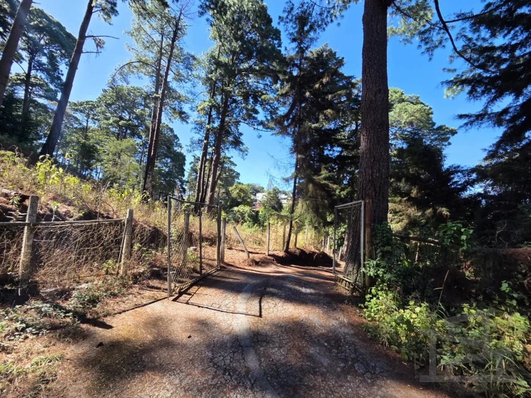 🏞️ Terreno en venta – Kanajuyú, Zona 16 — Terreno en Venta en Kanajuyú, Zona 16, Guatemala, Ciudad — foto 8 de 9