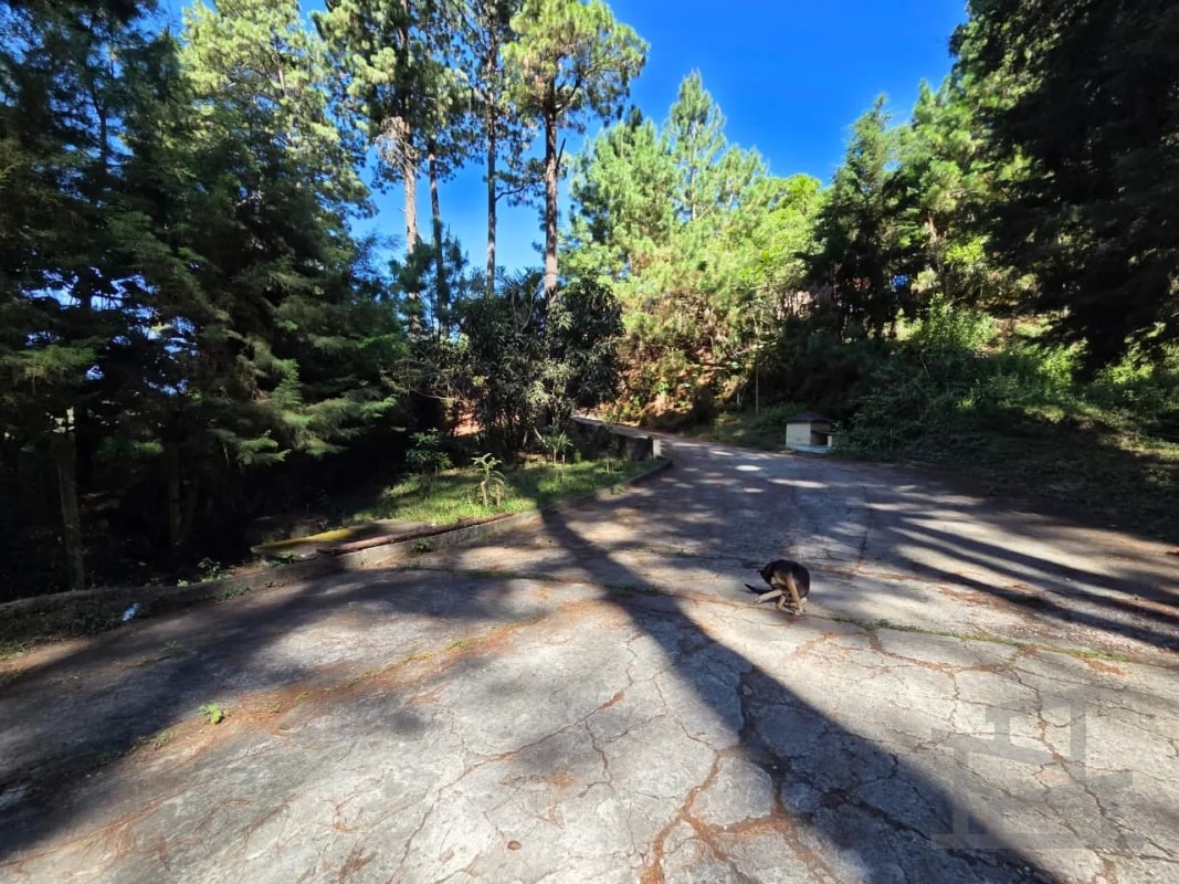 🏞️ Terreno en venta – Kanajuyú, Zona 16 — Terreno en Venta en Kanajuyú, Zona 16, Guatemala, Ciudad — foto 7 de 9