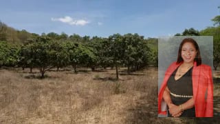 7.5 Caballerias Oratorio Santa Rosa — Finca en Venta en Cuilapa, Santa Rosa — miniatura 3 de 5