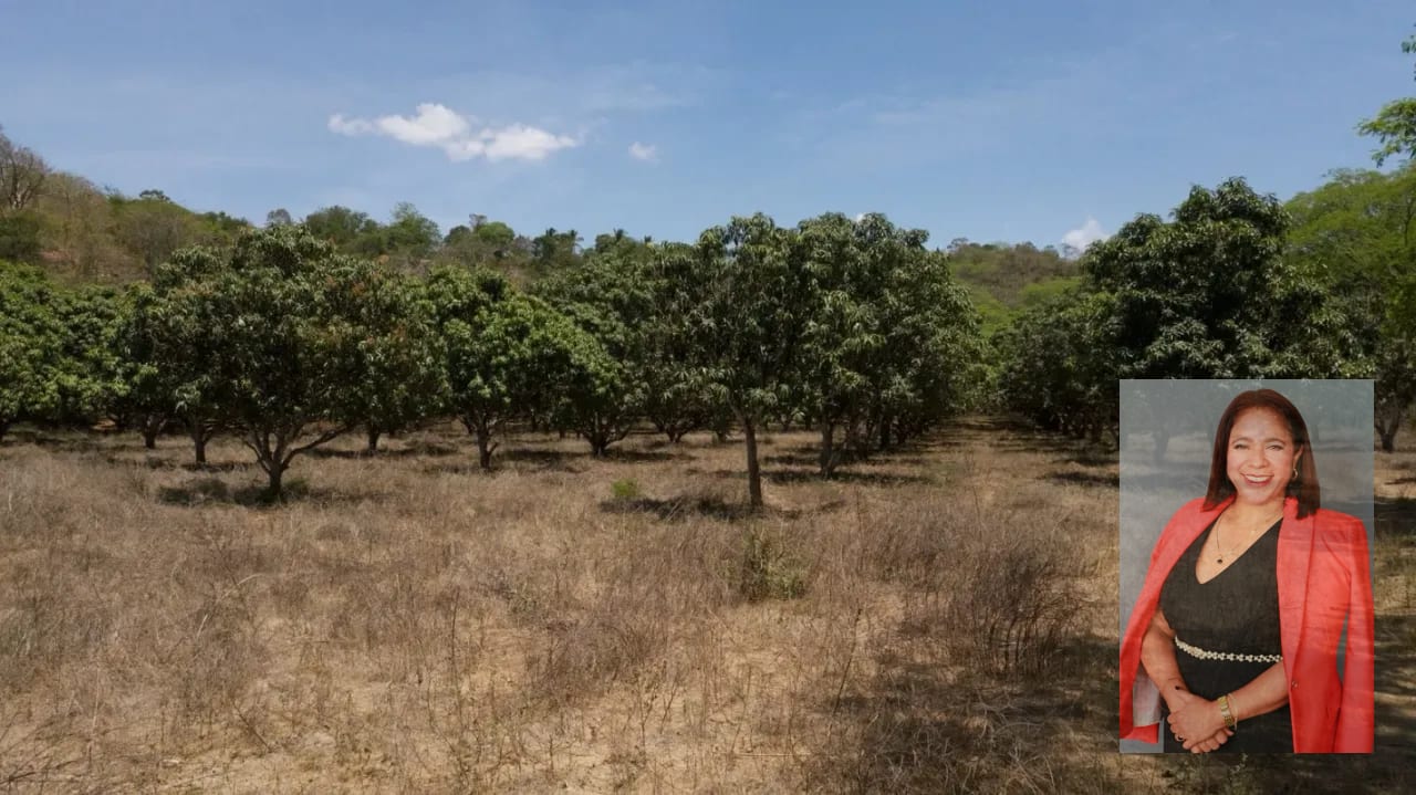7.5 Caballerias Oratorio Santa Rosa — Finca en Venta en Cuilapa, Santa Rosa — foto 3 de 5