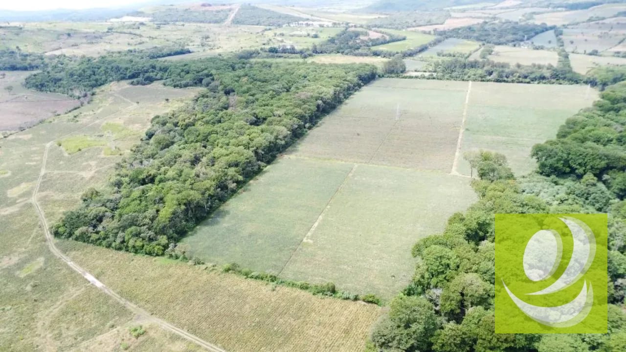 FINCA DE 17 MZ EN VENTA CERCA DE CARRETERA A EL SALVADOR — Finca en Venta en Carretera a El Salvador, Guatemala, Ciudad — foto 5 de 5
