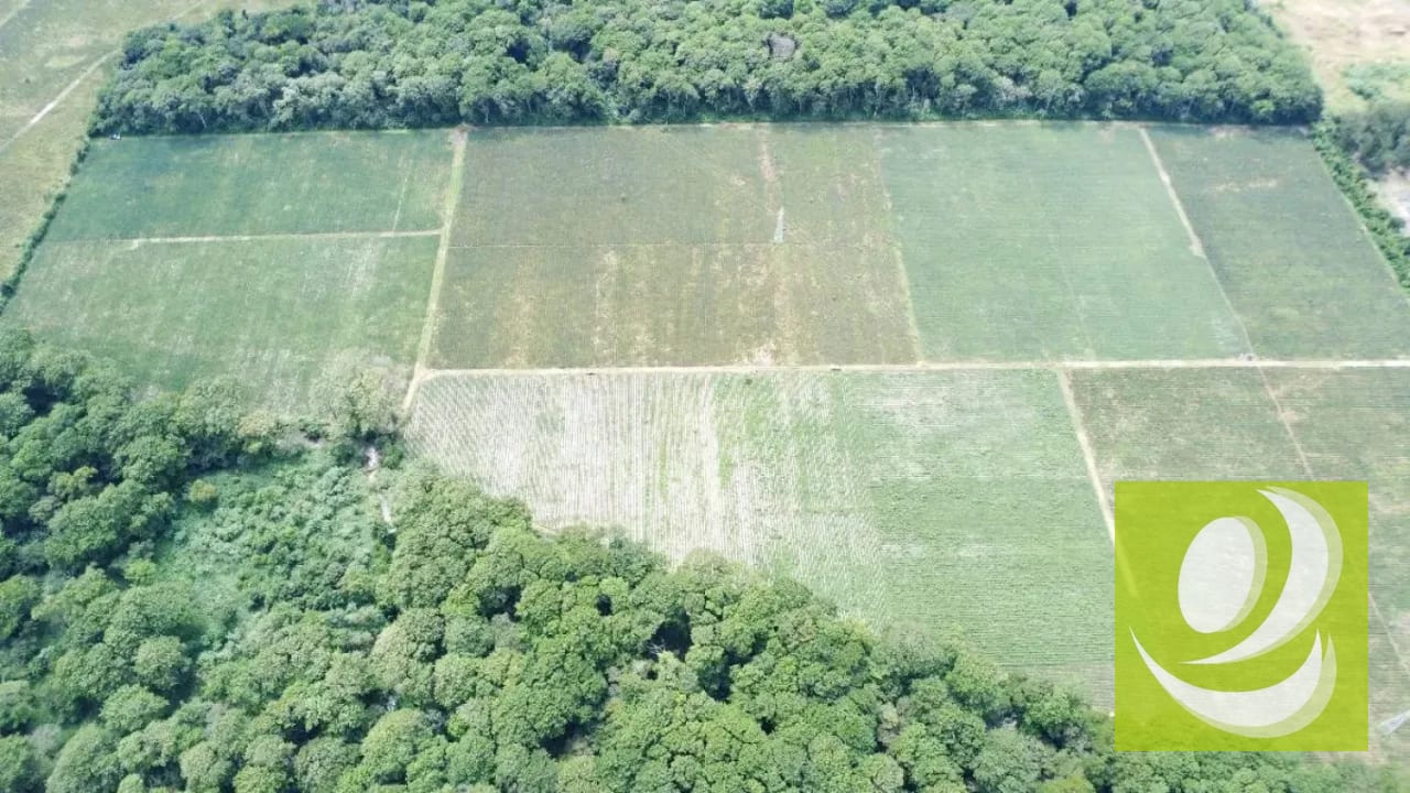 FINCA DE 17 MZ EN VENTA CERCA DE CARRETERA A EL SALVADOR — Finca en Venta en Carretera a El Salvador, Guatemala, Ciudad — foto 4 de 5