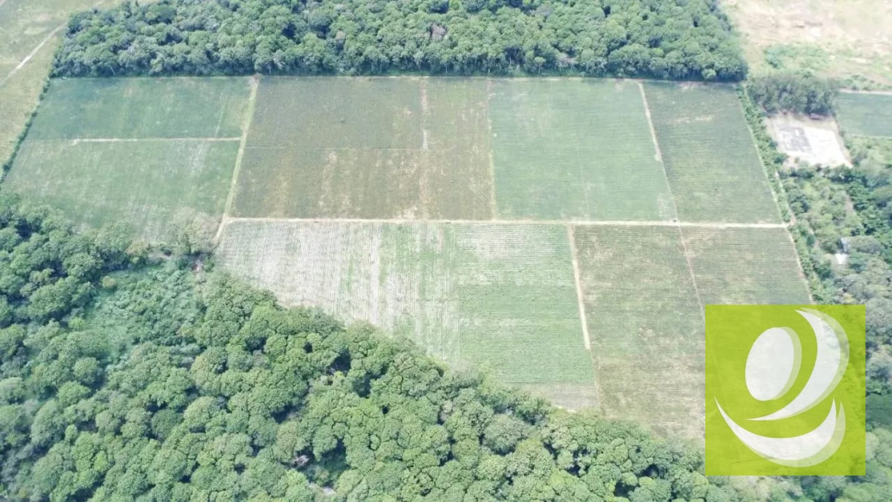 FINCA DE 17 MZ EN VENTA CERCA DE CARRETERA A EL SALVADOR — Finca en Venta en Carretera a El Salvador, Guatemala, Ciudad — foto 3 de 5