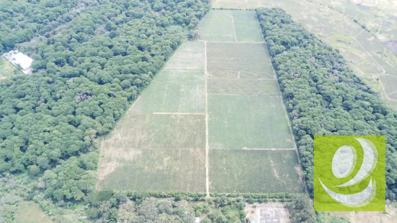FINCA DE 17 MZ EN VENTA CERCA DE CARRETERA A EL SALVADOR — Finca en Venta en Carretera a El Salvador, Guatemala, Ciudad — foto 2 de 5