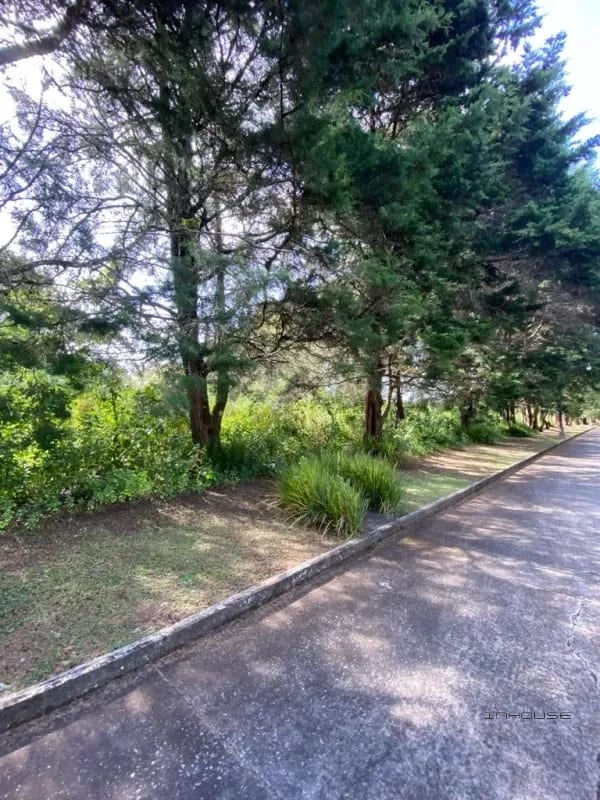 TERRENO EN VENTA EN CAES KM 23.5 — Terreno en Venta en Carretera a El Salvador, Guatemala, Ciudad — foto 4 de 4