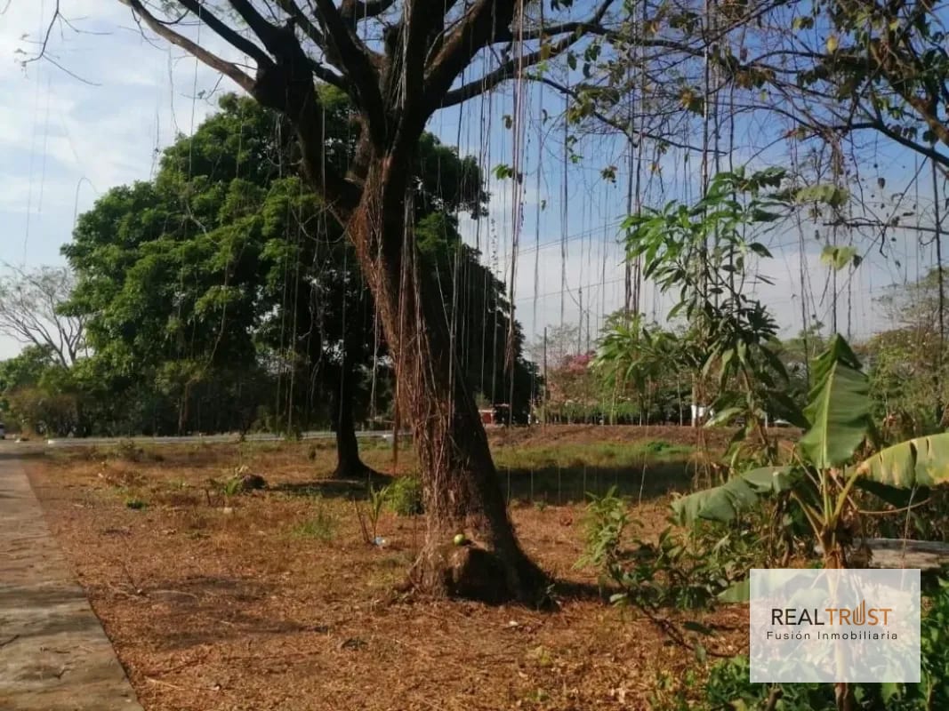 TERRENO EN RENTA Autopista de Escuintla hacia Puerto Quetzal Km 70.5 — Terreno en Alquiler en Escuintla, Escuintla — foto 2 de 2