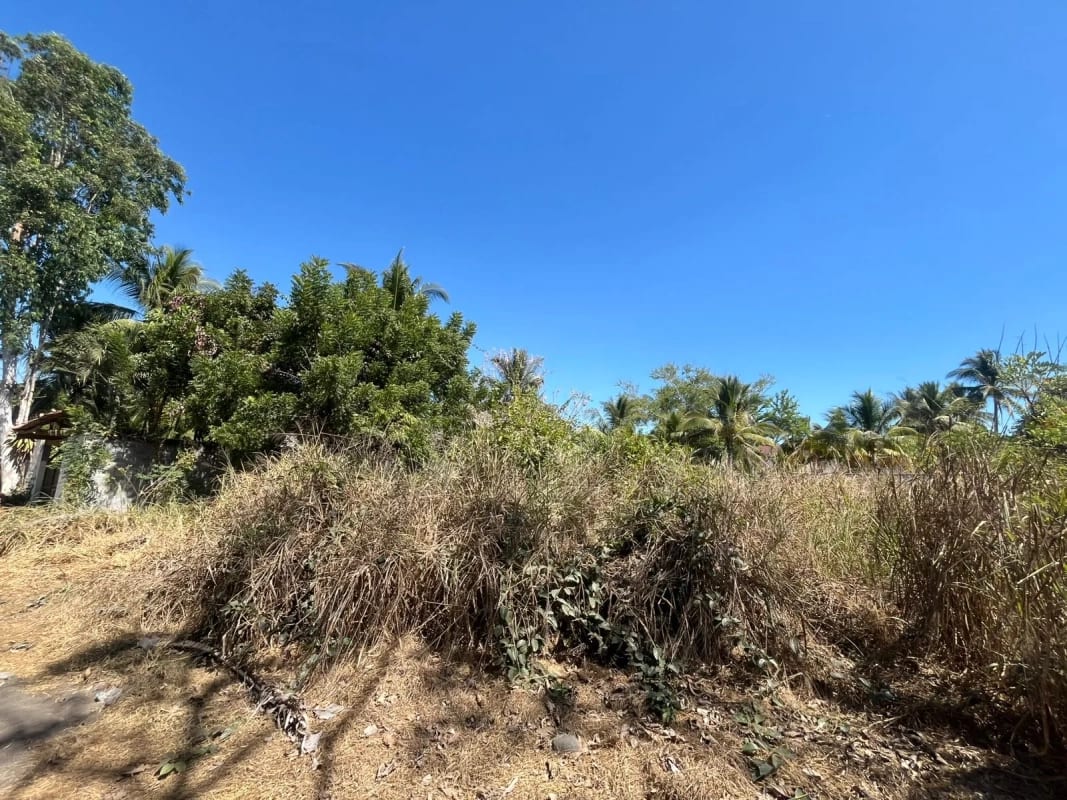 TERRENO EN VENTA MONTERRICO — Terreno en Venta en Monterrico, Santa Rosa — foto 2 de 4