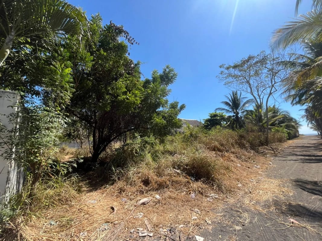 TERRENO EN VENTA MONTERRICO — Terreno en Venta en Monterrico, Santa Rosa — foto 3 de 4