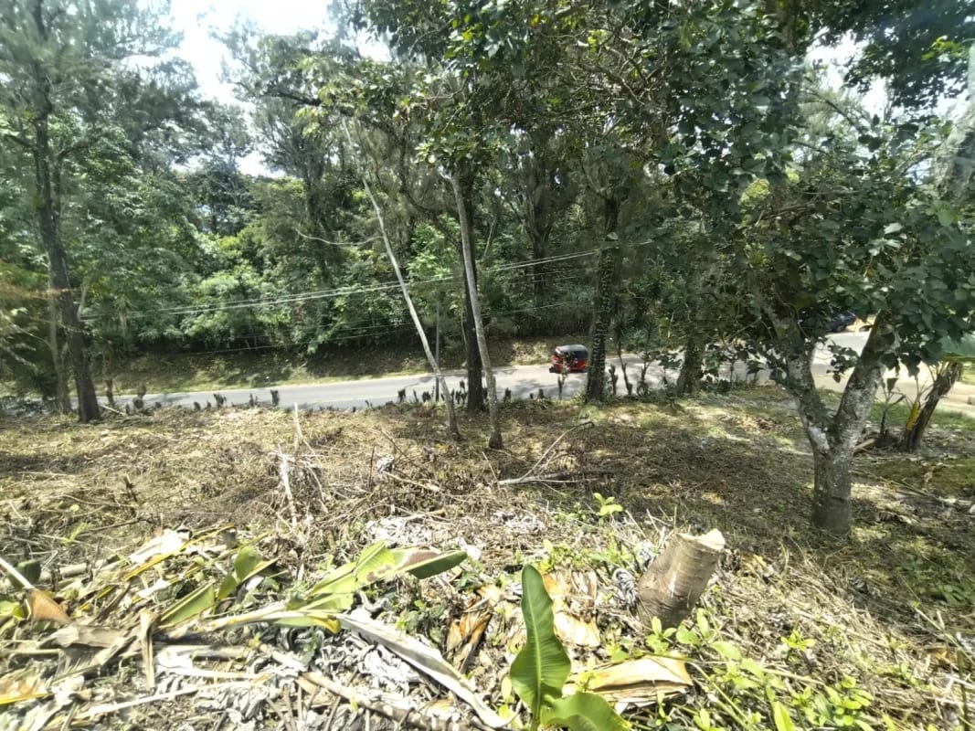 Terreno en Santa Rosa — Terreno en Venta en Pueblo Nuevo Viñas, Santa Rosa — foto 3 de 4